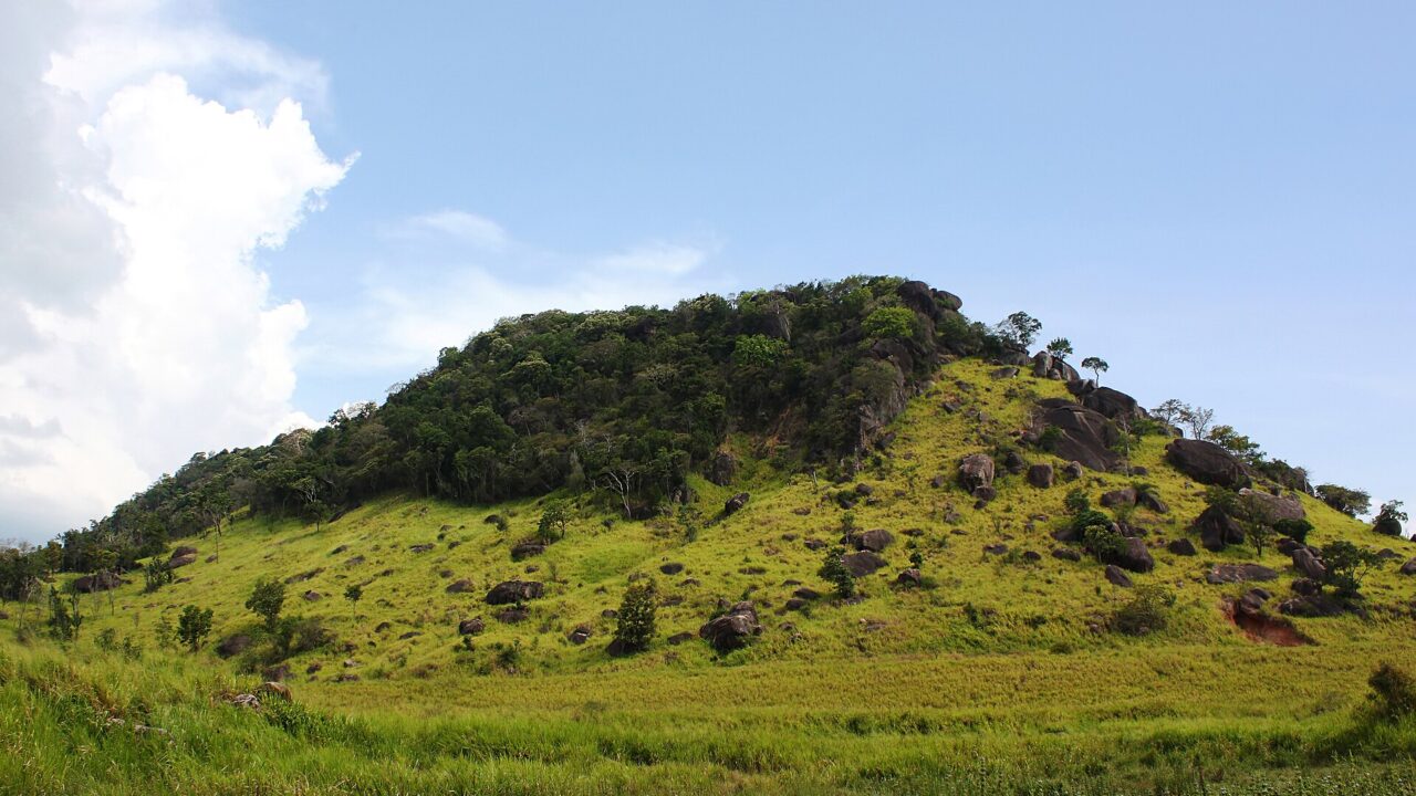 මාදුරුඔය ජාතික වනෝද්‍යානය