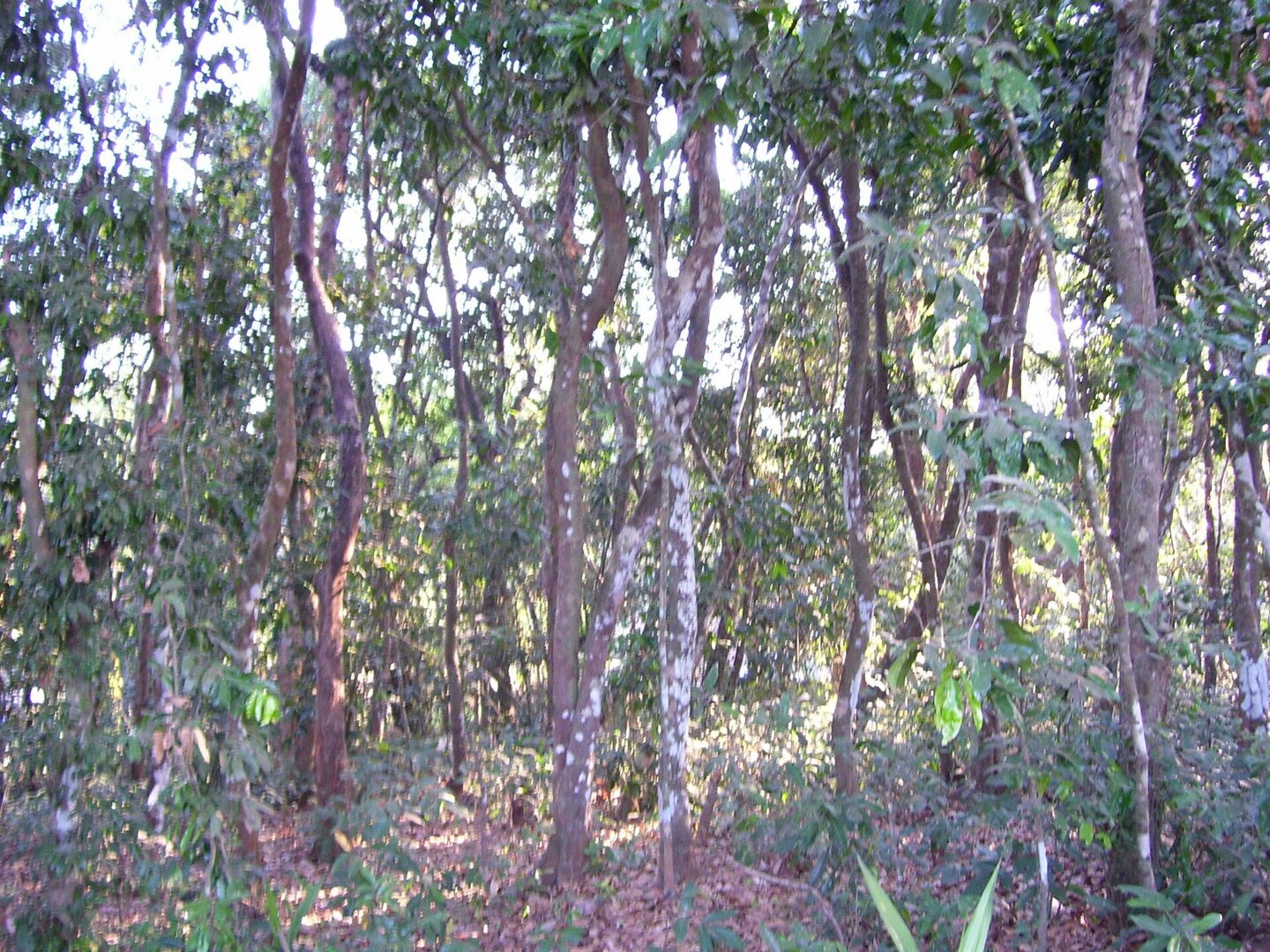 කළුවර