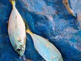 Persian Trevally