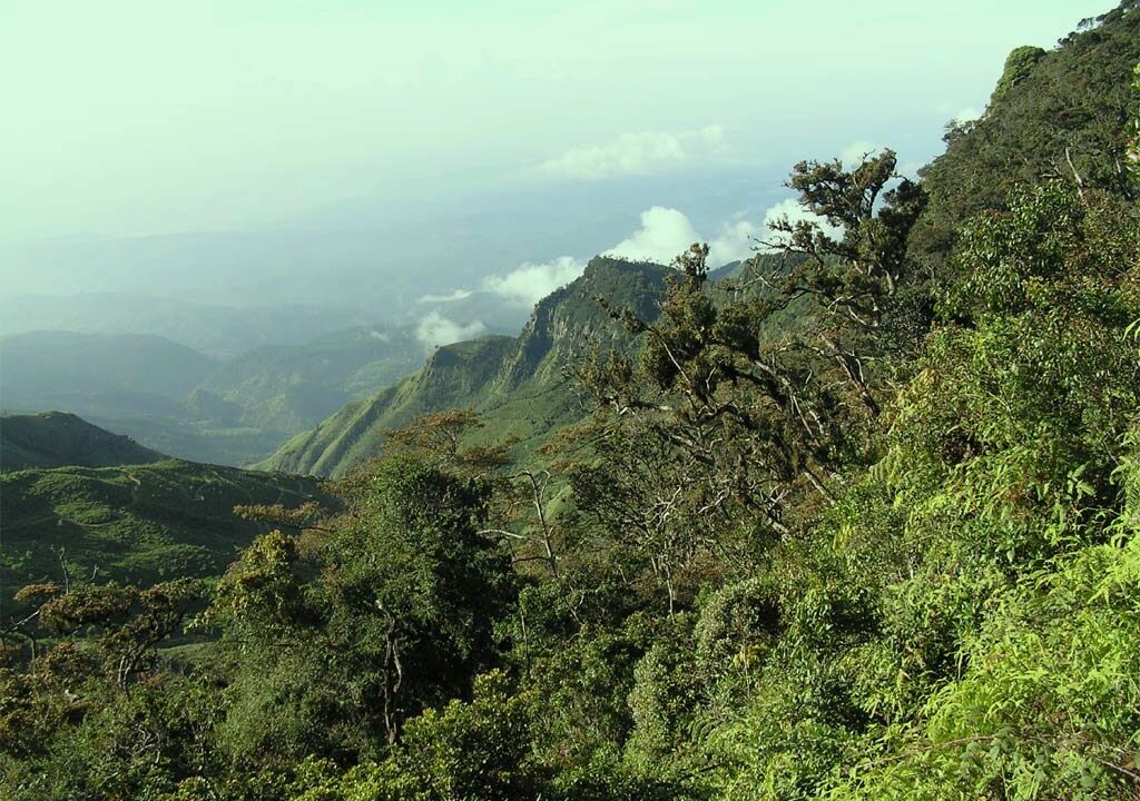 හෝර්ටන් තැන්න ජාතික වනෝද්‍යානය
