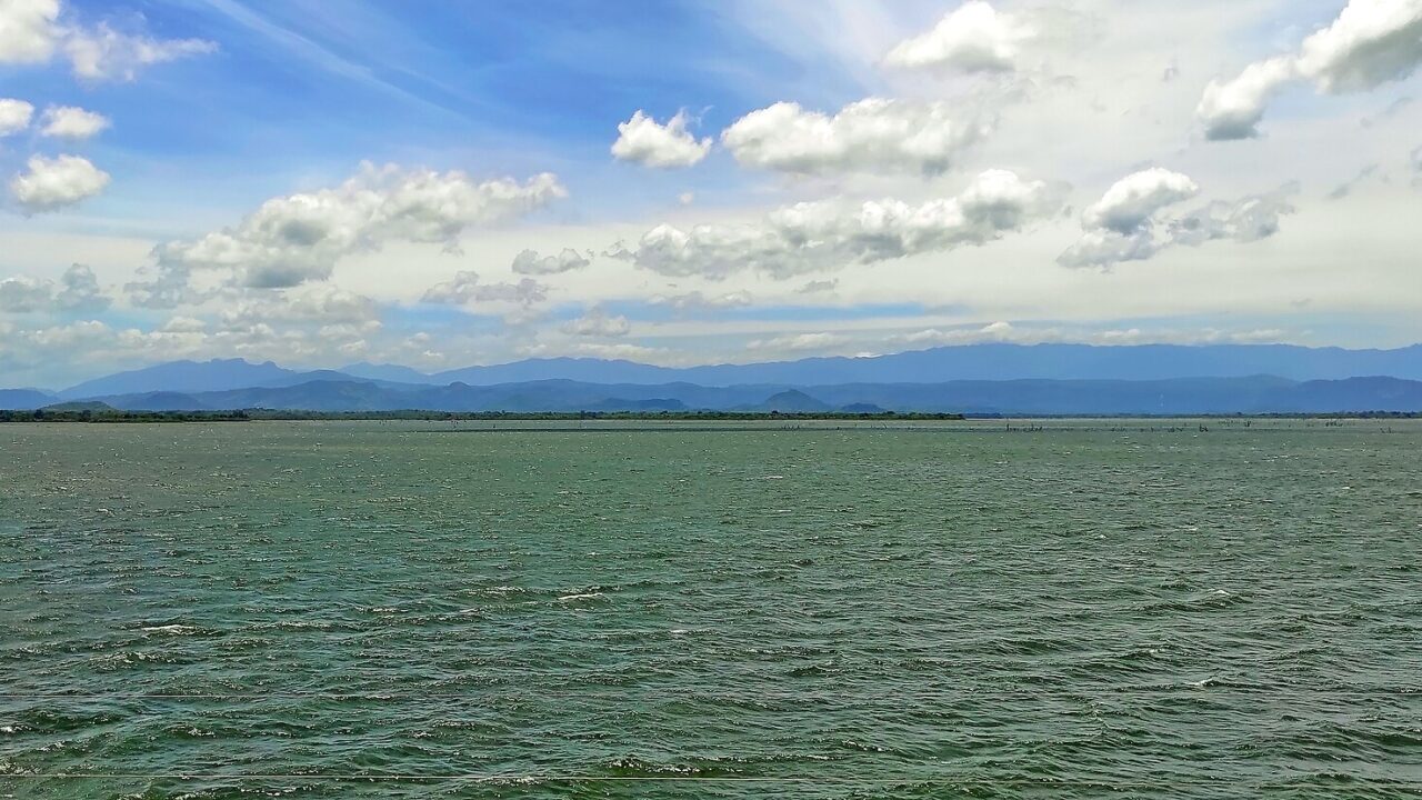 උඩවළව ජාතික වනෝද්‍යානය